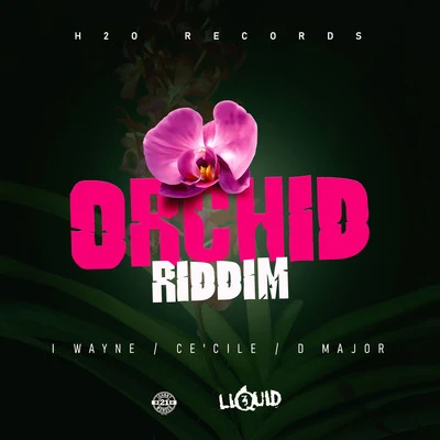 D Major/I Wayne/CeCile Orchid Riddim