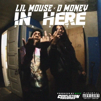 D Money/Lil Mouse In Here 3 (feat. D Money)