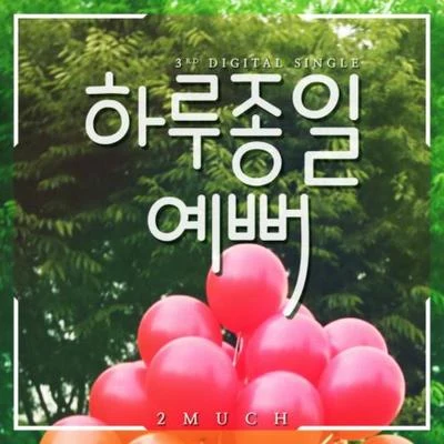 2Much 하루종일 예뻐