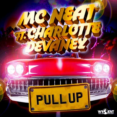 MC Neat Pull Up