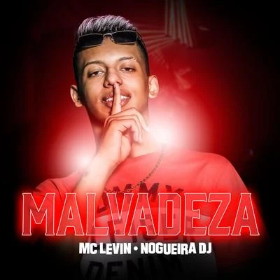 MC Levin Malvadeza