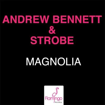 Strobe/Andrew Bennett Magnolia (Extended Mix)