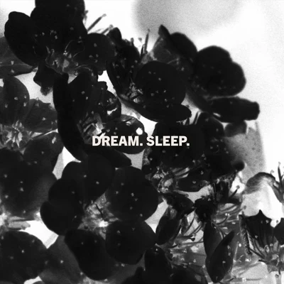 LaVeda Dream. Sleep.