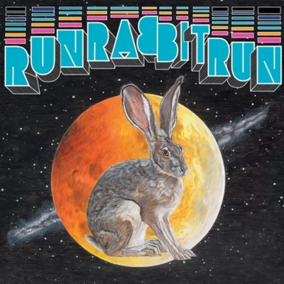 Sufjan Stevens Run Rabbit Run