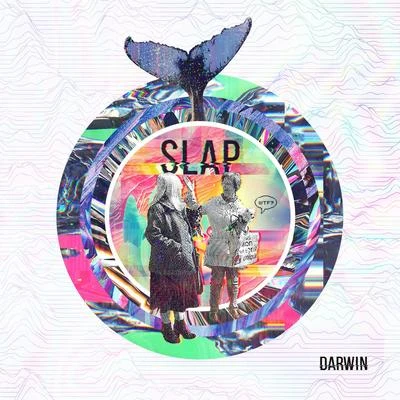 Darwin Slap