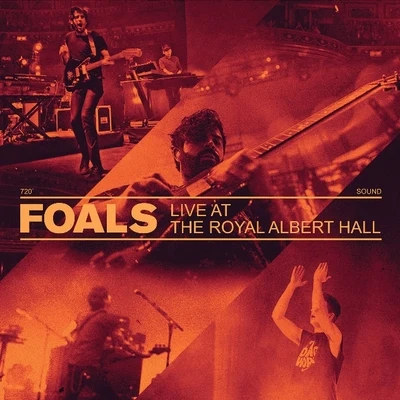 Foals Live at the Royal Albert Hall