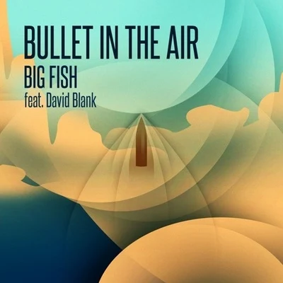 Big Fish Bullet In The Air