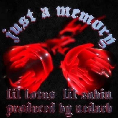 Lil Lotus just a memory