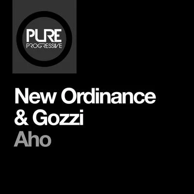 New Ordinance/DJ Gozzi Aho