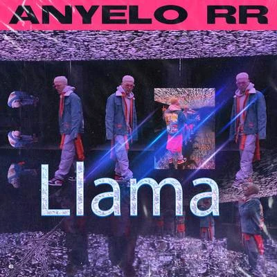 Anyelo RR Llama