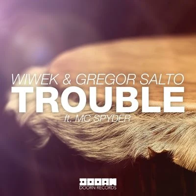 Wiwek/Gregor Salto Trouble