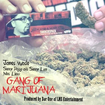 Snoop Dogg/James Wade Gang Of Marijuana (feat. Mac Lucci) - Single