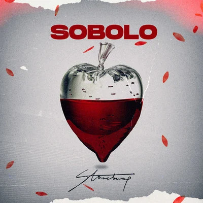 Stonebwoy Sobolo