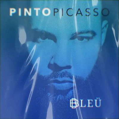 Pinto Picasso Bleu