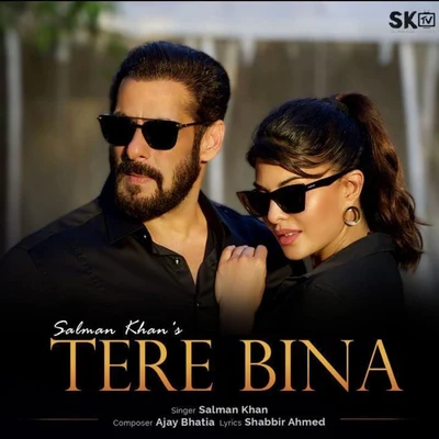 Salman Khan Tere Bina