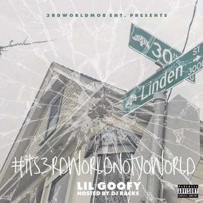 Lil Goofy #Its3rdworldnotyoworld