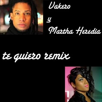 Vakero Te Quiero Remix