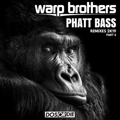 Warp Brothers Phatt Bass Remixes, Pt. 2