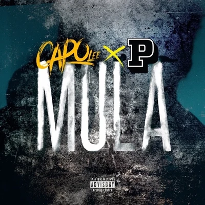 Capo Lee Mula