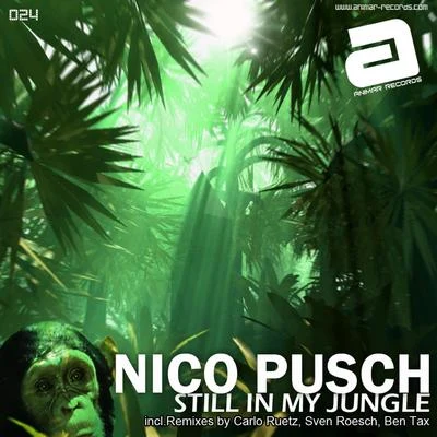 Nico Pusch Still in My Jungle