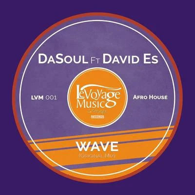 DaSoul/David Es Wave