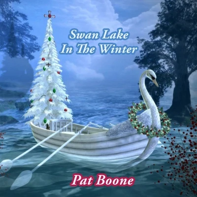 Pat Boone Swan Lake In The Winter