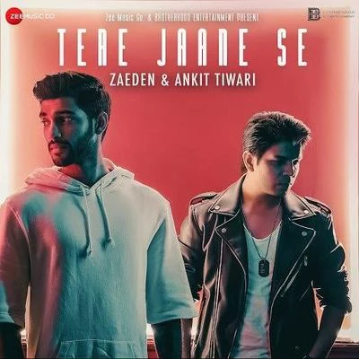 Zaeden Tere Jaane Se