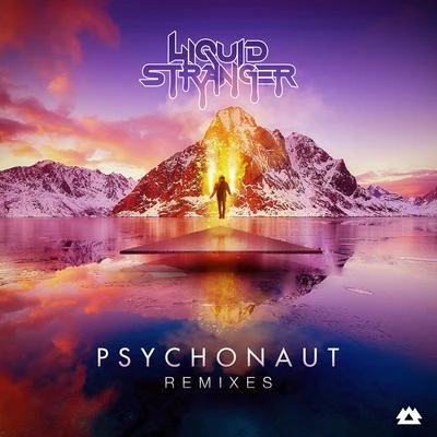 Liquid Stranger Psychonaut (Remixes)