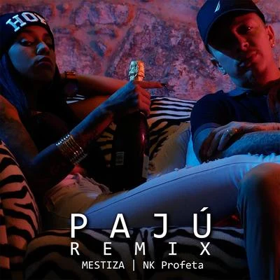 Mestiza Pajú (Remix)