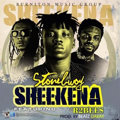 Stonebwoy Sheekena