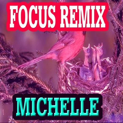 Michelle Focus Remix