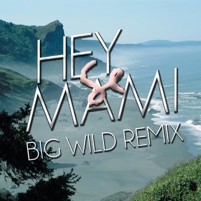 Big Wild Hey Mami (Big Wild Remix)