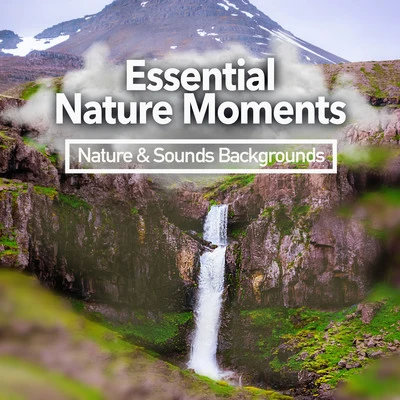 Nature & Sounds Backgrounds Essential Nature Moments