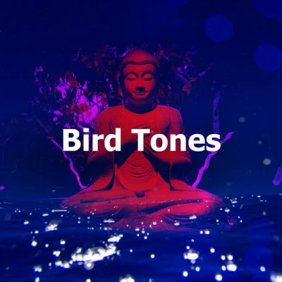 Asian Zen: Spa Music Meditation Bird Tones