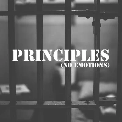 Don Kody Principles (No Emotions)