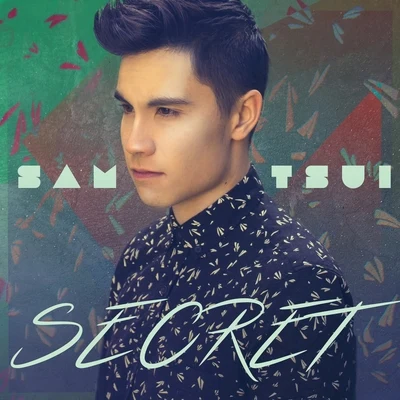 Sam Tsui Secret