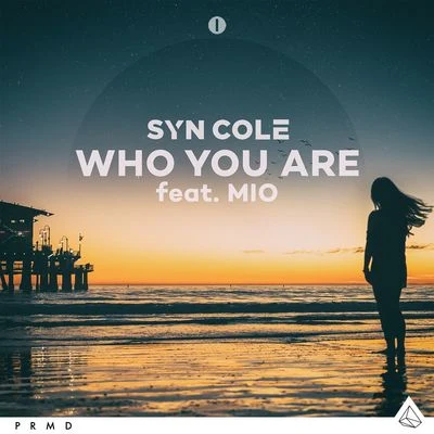 Syn Cole/MIO Who You Are