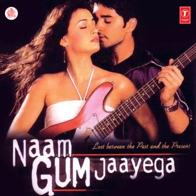 Anand-Milind Naam Gum Jaayega