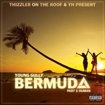 Young Gully Bermuda, Pt. 3: Human