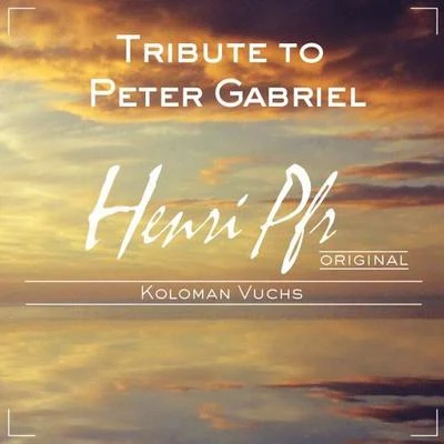 Henri Pfr Tribute to Peter Gabriel (Solsbury Hill)