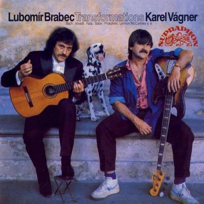 Lubomír Brabec Transformations