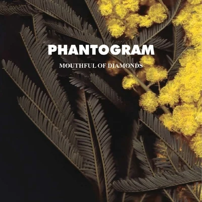 Phantogram Mouthful Of Diamonds