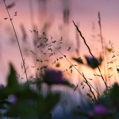 Sounds Of Nature : Thunderstorm, Rain/Meditation Rain Sounds/Sounds of Nature Noise Sleep Sounds of Nature for Healing