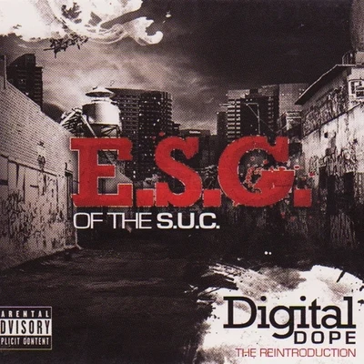 E.S.G. Digital **** (The Reintroduction)