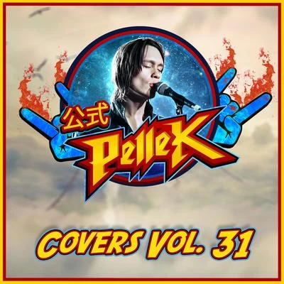 PelleK Covers, Vol. 31