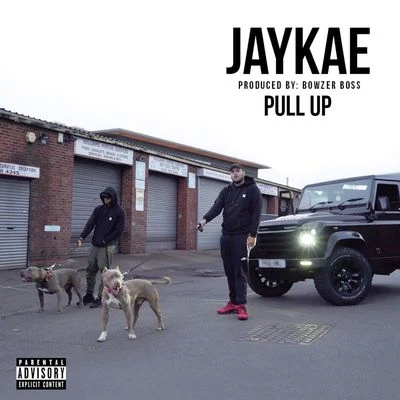 Jaykae Pull Up