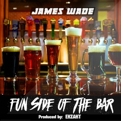 James Wade Fun Side of the Bar - Single