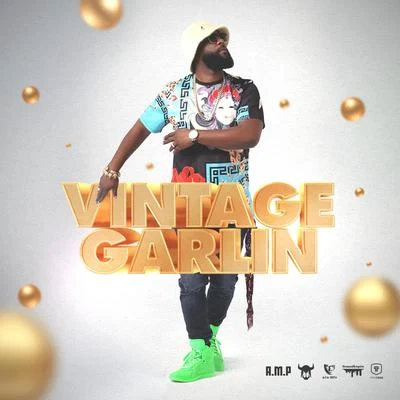 Bunji Garlin/Fay-Ann Lyons Vintage Garlin (feat. Fay-Ann Lyons)