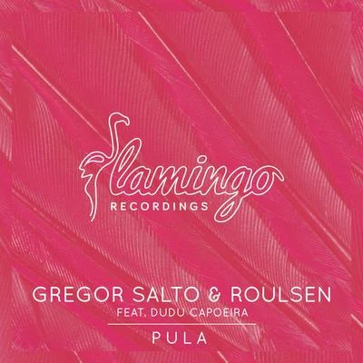 Roulsen/Gregor Salto PULA (Extended Mix)