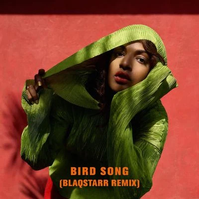 M.I.A. Bird Song (Blaqstarr Remix)